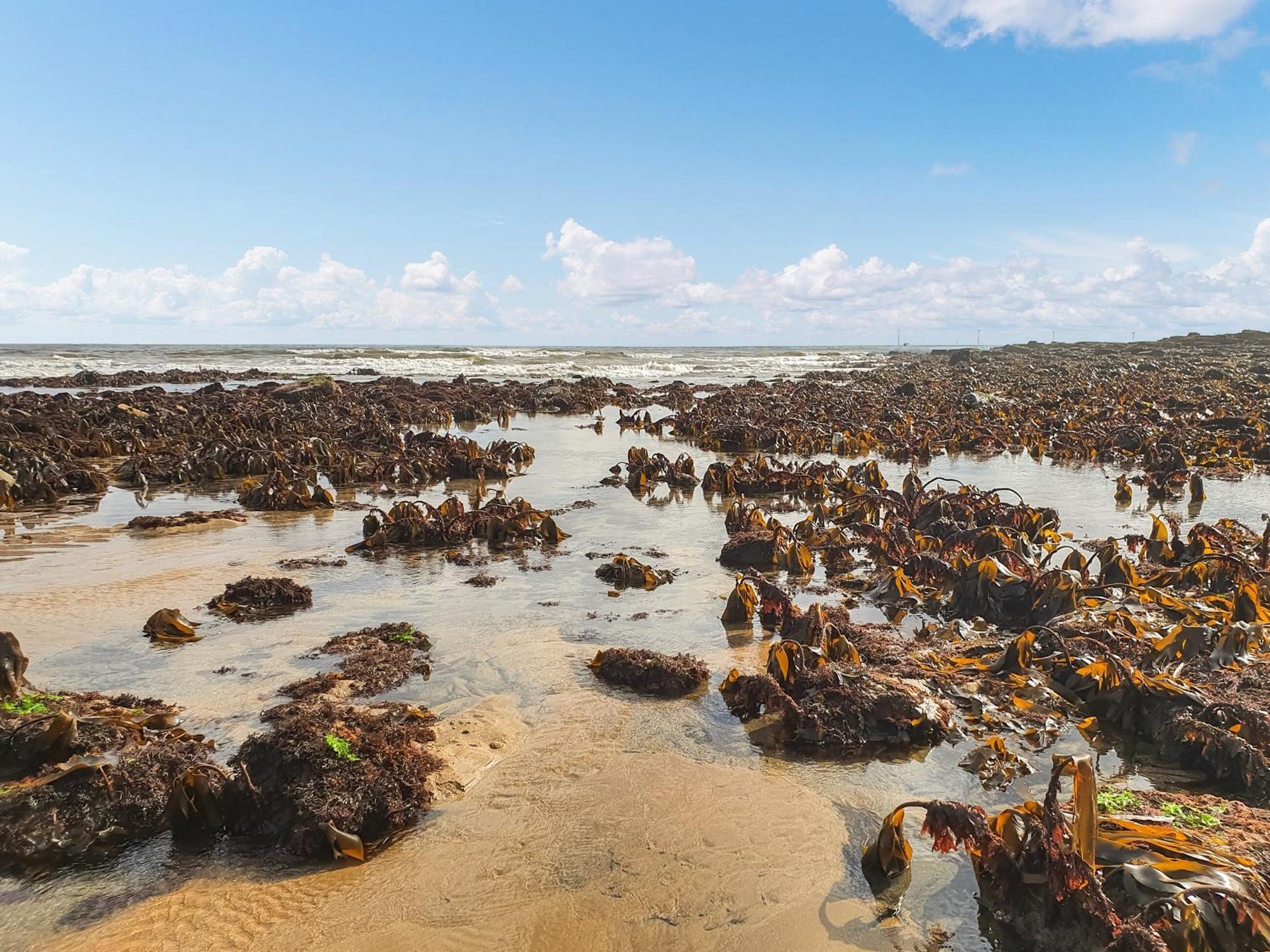 Turtles Nest Villa Newbiggin-by-the-Sea Luaran gambar